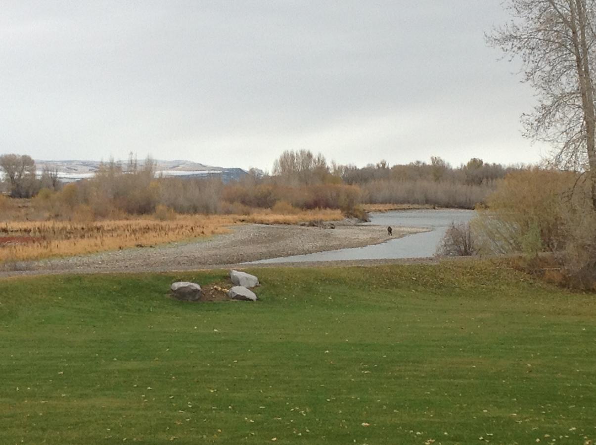 Blue Heron Inn Bed And Breakfast Rexburg Room photo